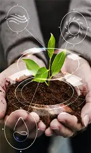 هوشمند سازی محیطی و اتوماسیون گلخانه