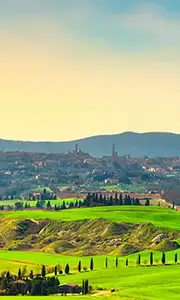 دسته بندی کشاورزی هوشمند