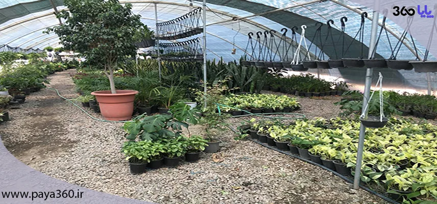 هوشمندسازی گلخانه با plc: بهبود عملکرد و کاهش هزینه ها