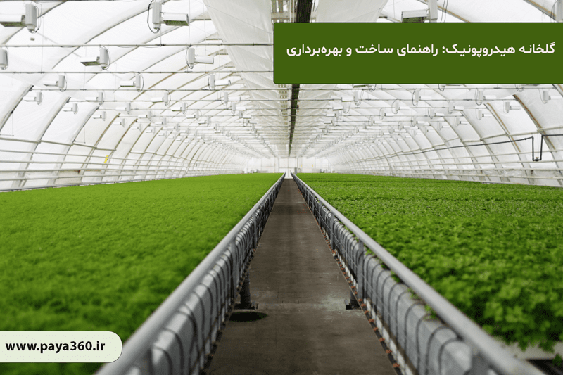 گلخانه‌ هیدروپونیک: راهنمای کامل و گام‌به‌گام ساخت و بهره‌برداری
