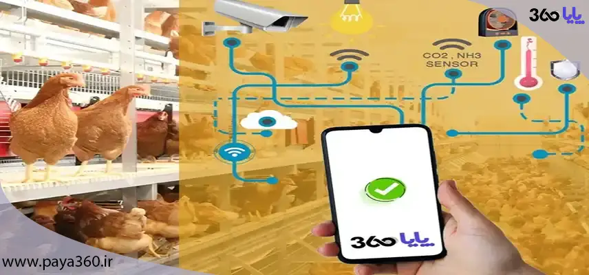 هوشمندسازی مرغداری چگونه انجام می‌شود؟