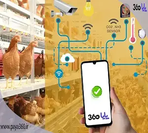 هوشمندسازی مرغداری چگونه انجام می‌شود؟