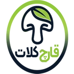 لوگو پروژه قارچ کلات