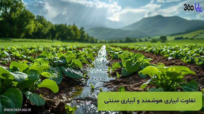 تفاوت سیستم آبیاری هوشمند و سنتی