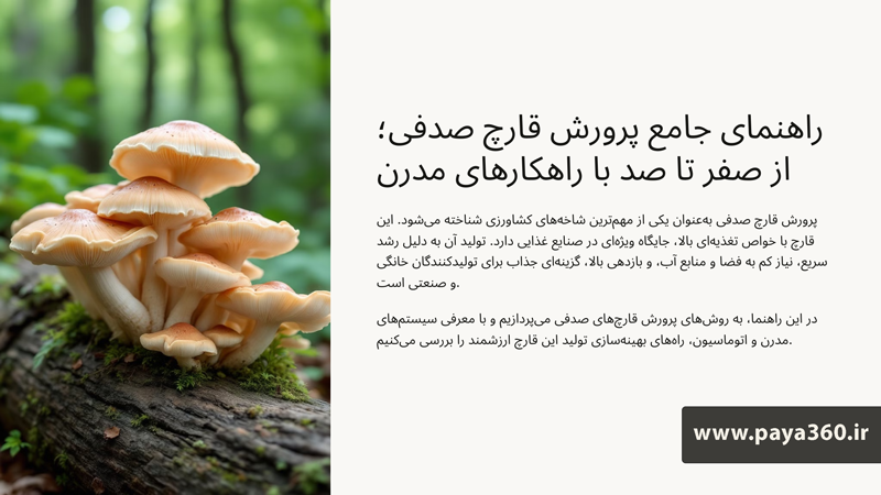 راهنمای کامل تولید قارچ