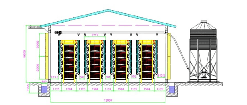 طراحی سالن مرغداری