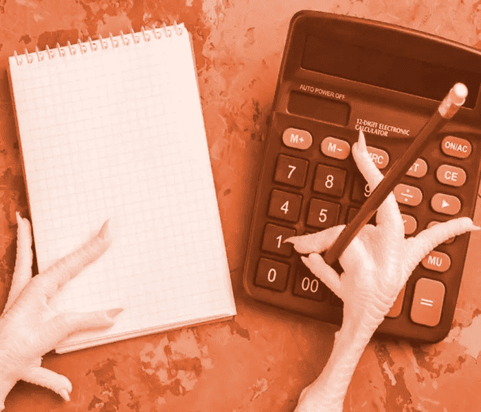 هزینه‌ها برای ساخت سالن مرغداری