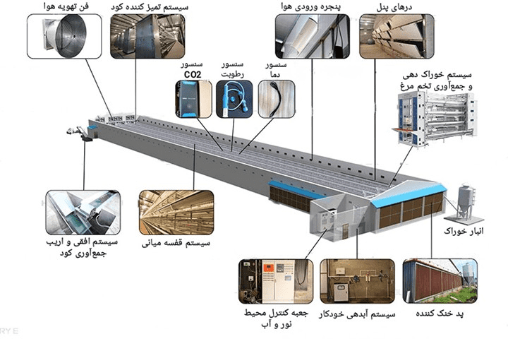 تجهیزات مناسب در اتوماسیون مرغداری