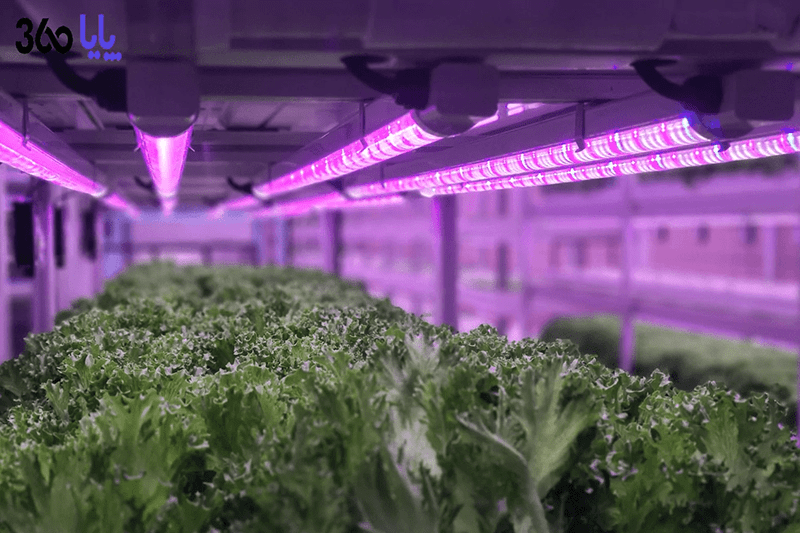 فناوری اینترنت اشیا در گلخانه هوشمند